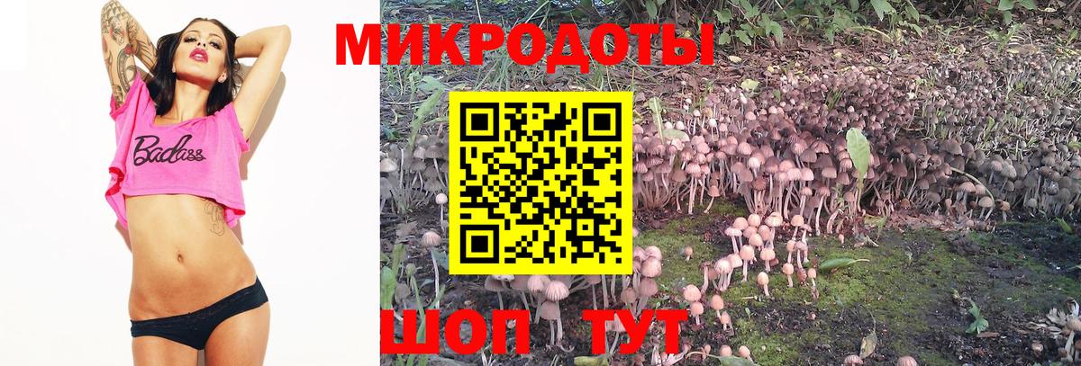 Псилоцибиновые грибы Cubensis  Грозный  Псилоцибиновые грибы Cubensis 