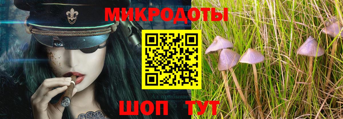 Галлюциногенные грибы Cubensis Грозный