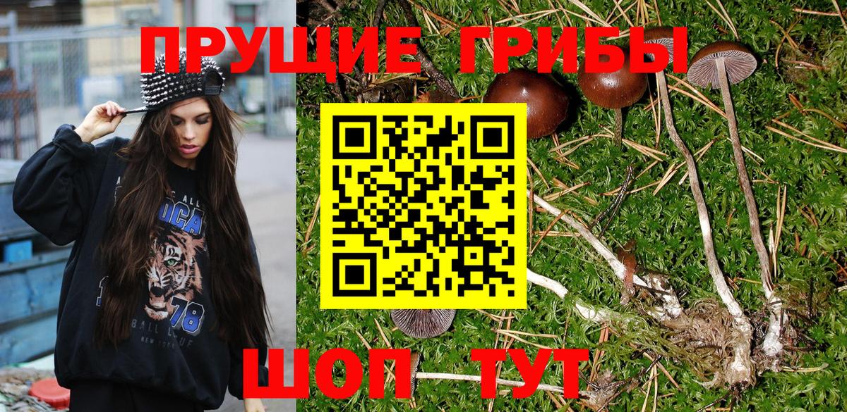 Галлюциногенные грибы MAGIC MUSHROOMS Грозный